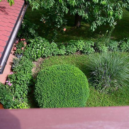 Apartment And Rooms Ivancica Селиште-Дрежничко Экстерьер фото