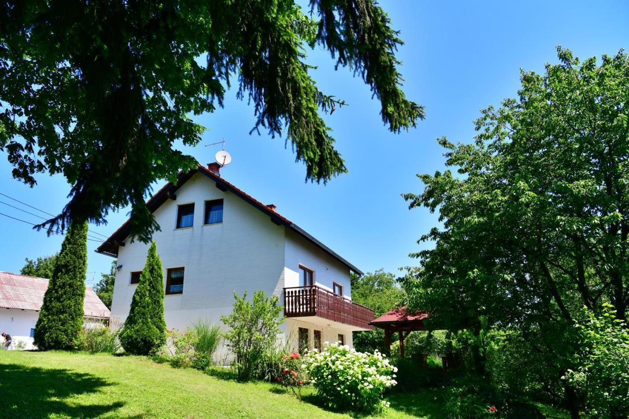 Apartment And Rooms Ivancica Селиште-Дрежничко Экстерьер фото