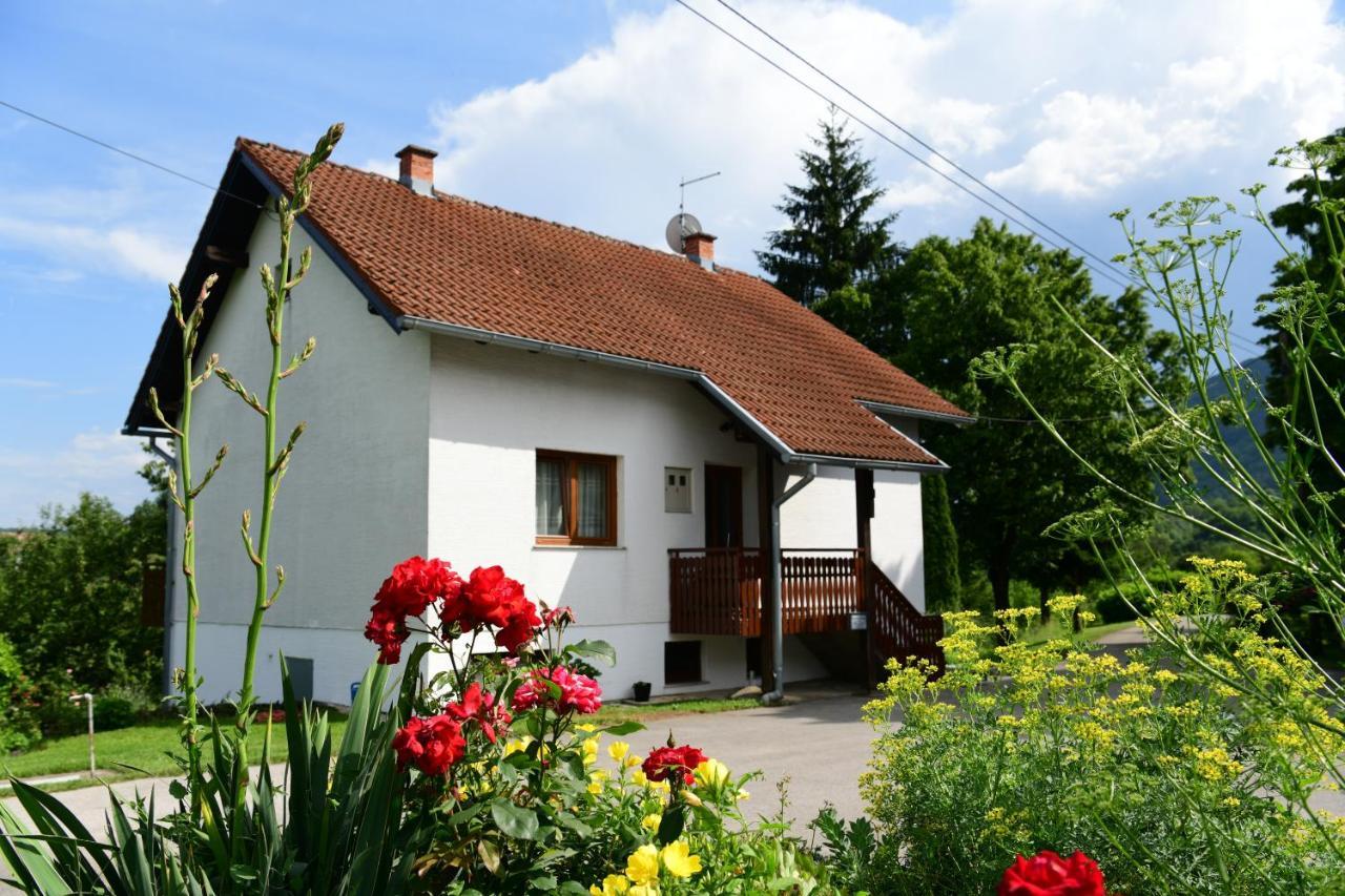 Apartment And Rooms Ivancica Селиште-Дрежничко Экстерьер фото