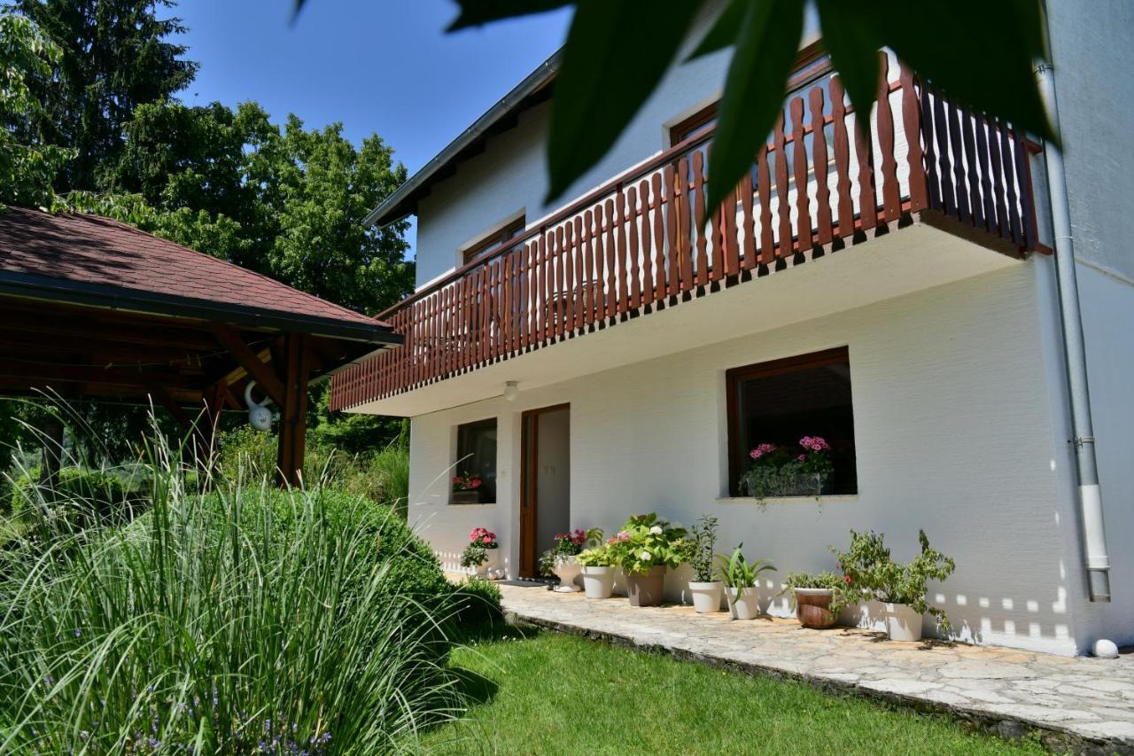 Apartment And Rooms Ivancica Селиште-Дрежничко Экстерьер фото