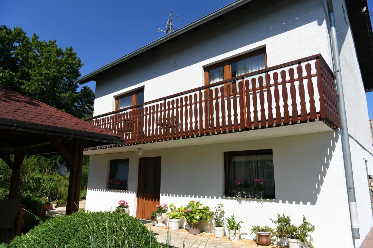 Apartment And Rooms Ivancica Селиште-Дрежничко Экстерьер фото