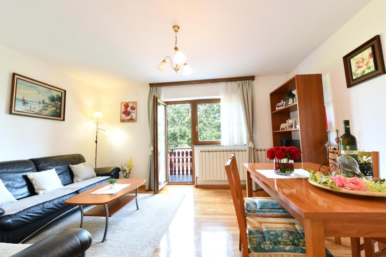 Apartment And Rooms Ivancica Селиште-Дрежничко Экстерьер фото