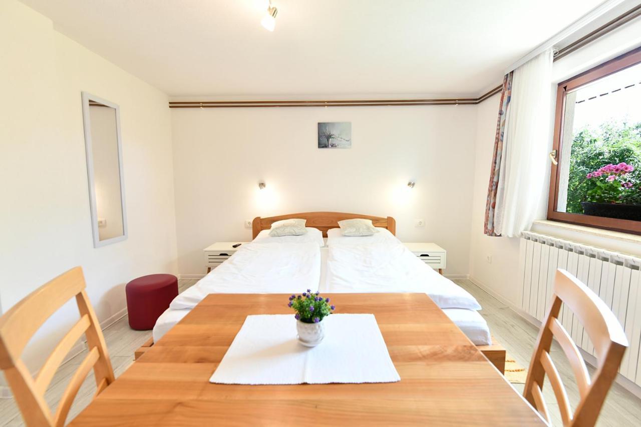 Apartment And Rooms Ivancica Селиште-Дрежничко Экстерьер фото