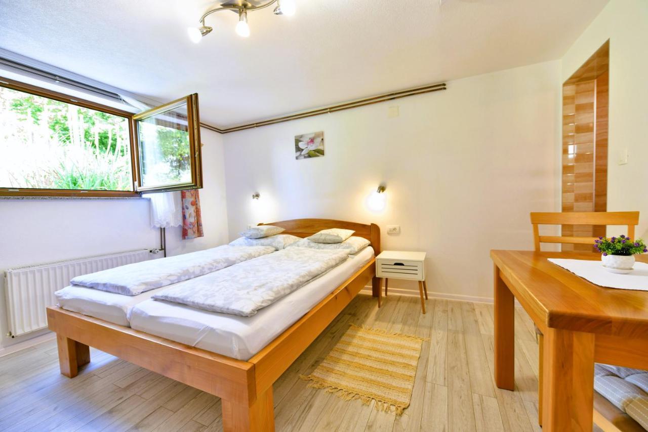 Apartment And Rooms Ivancica Селиште-Дрежничко Экстерьер фото