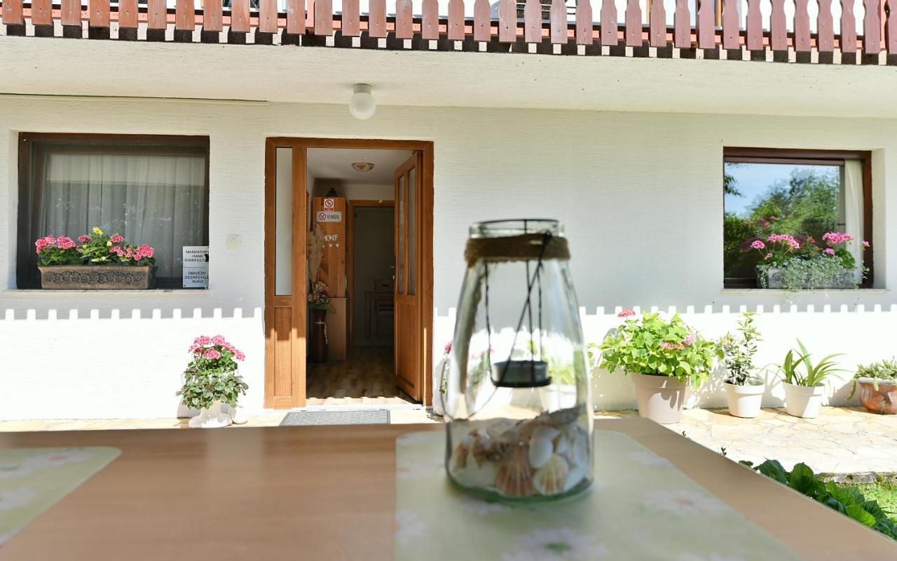 Apartment And Rooms Ivancica Селиште-Дрежничко Экстерьер фото
