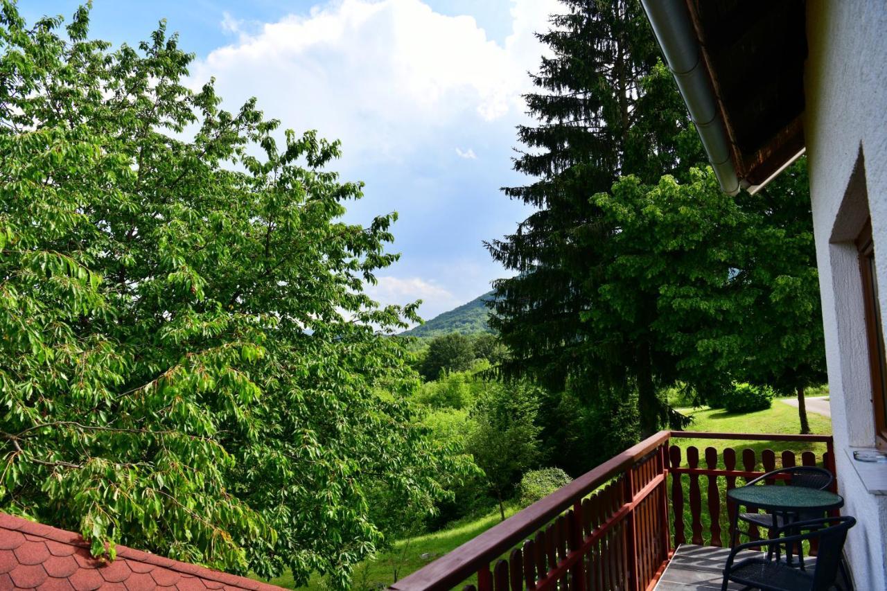 Apartment And Rooms Ivancica Селиште-Дрежничко Экстерьер фото