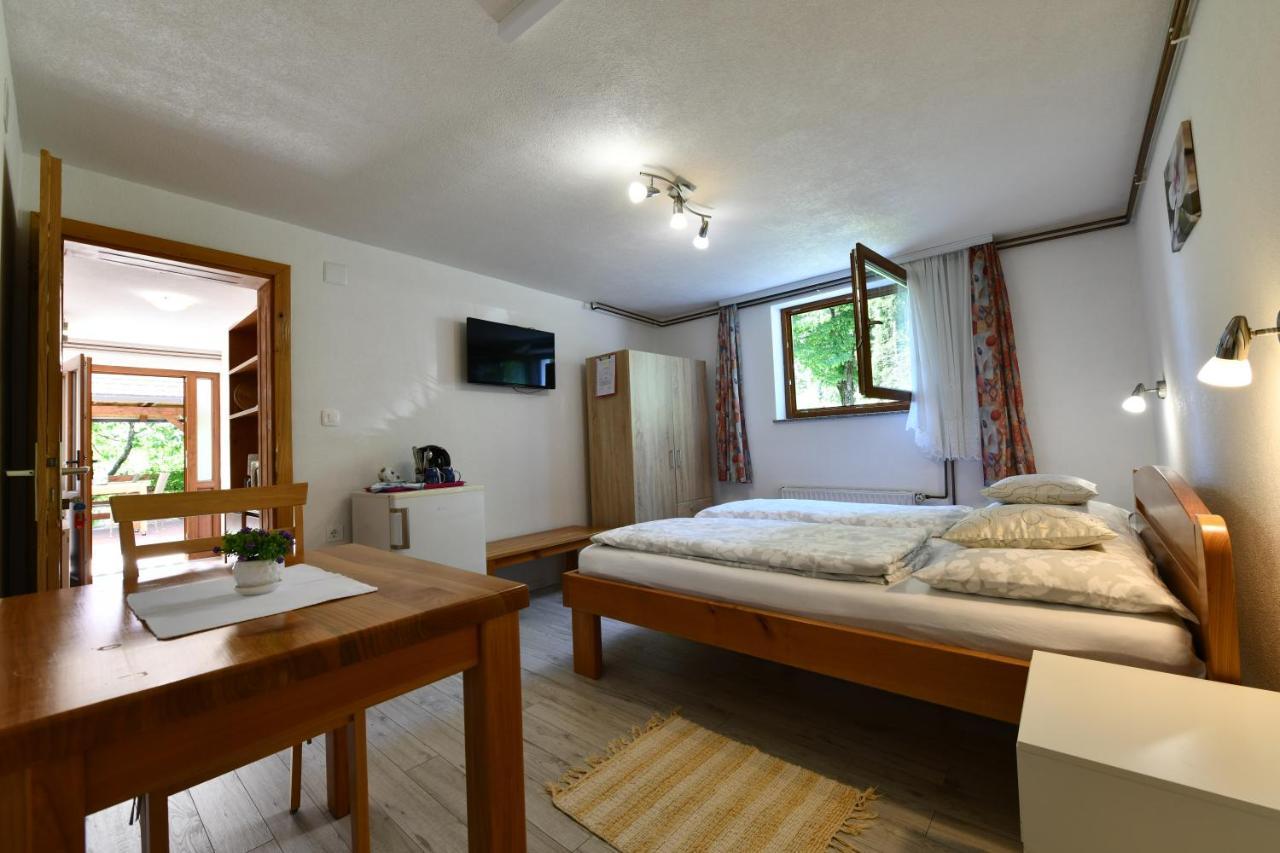 Apartment And Rooms Ivancica Селиште-Дрежничко Экстерьер фото