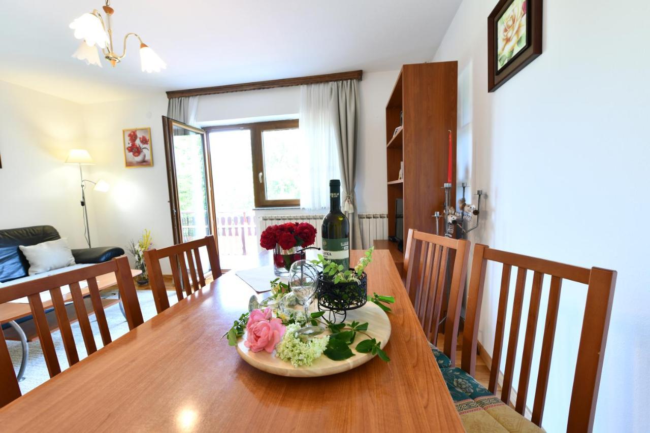 Apartment And Rooms Ivancica Селиште-Дрежничко Экстерьер фото