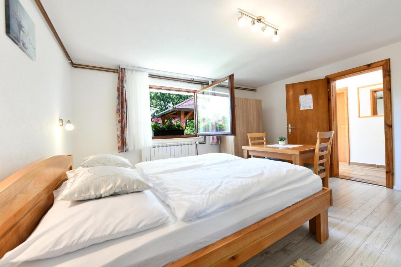 Apartment And Rooms Ivancica Селиште-Дрежничко Экстерьер фото
